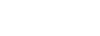 Mobis Electronic